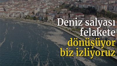 Deniz salyası felakete dönüşüyor biz izliyoruz